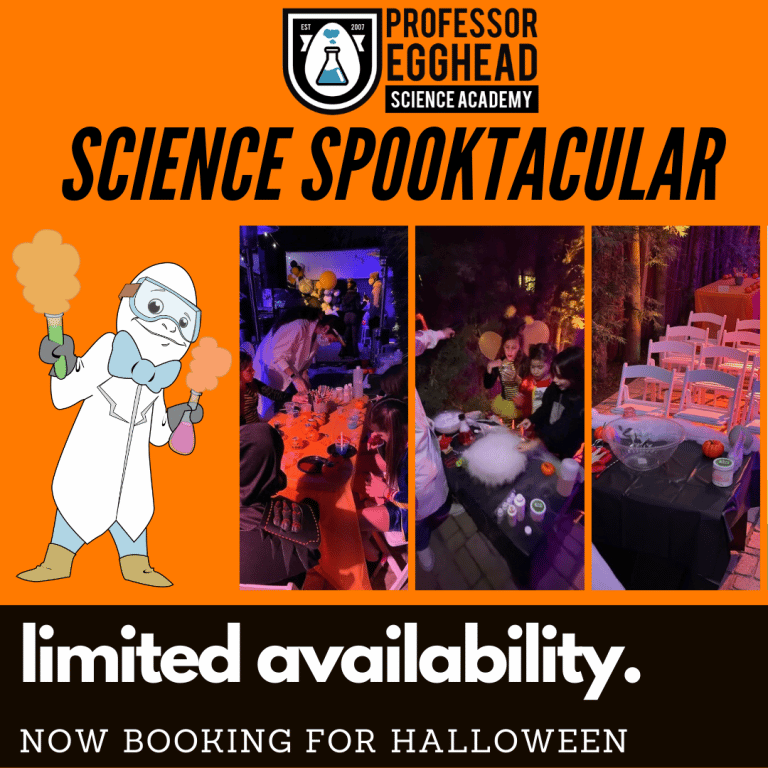 Science Programs & Camps For Kids in LA Professor Egghead