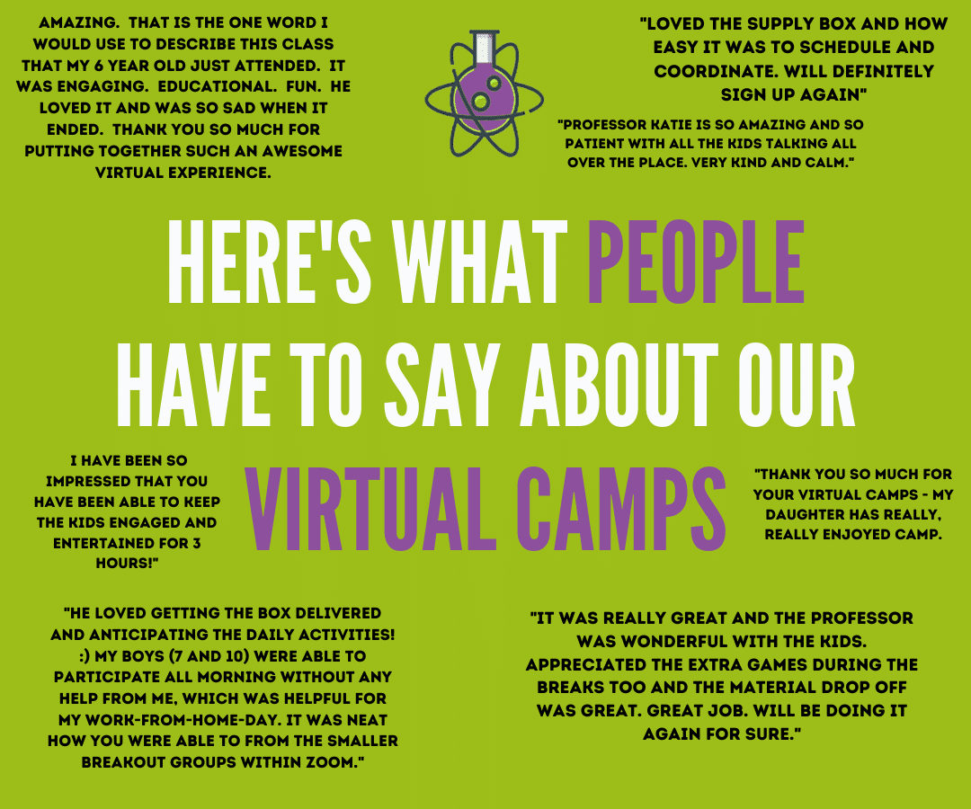 Professor Egghead Virtual Camp Reviews Best 5 star